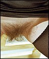 HairyBabes