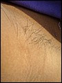 HairyBabes