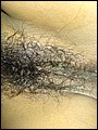 HairyBabes