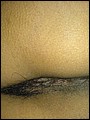 HairyBabes