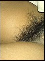 HairyBabes