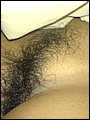 HairyBabes