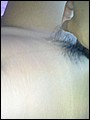 HairyBabes
