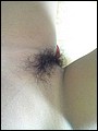 HairyBabes