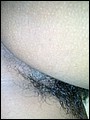 HairyBabes