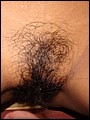 HairyBabes