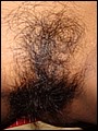 HairyBabes