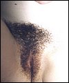 HairyBabes