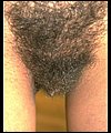 HairyBabes